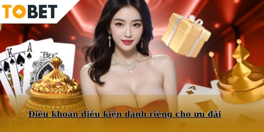 Điều khoản điều kiện dành riêng cho ưu đãi