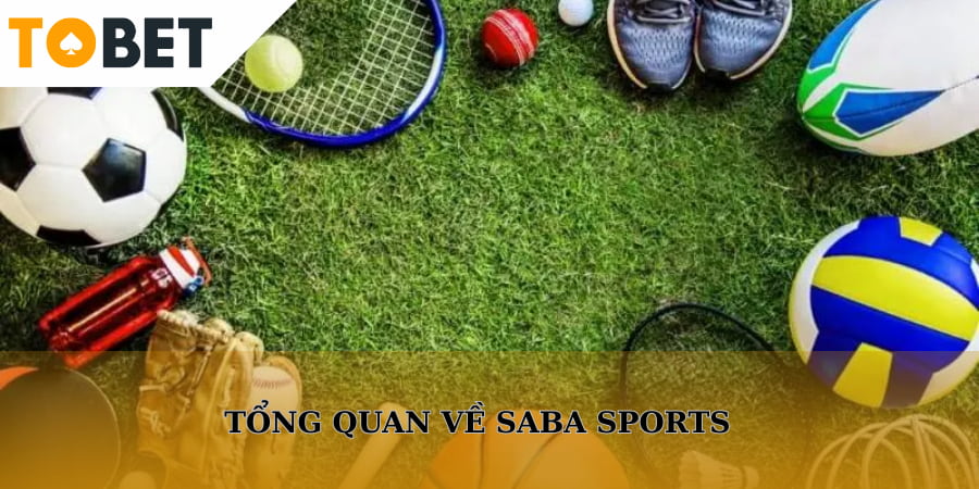 Tổng quan về saba sports